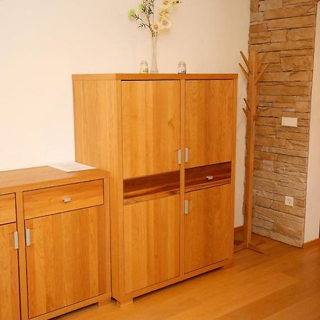 Apartments Vrdjan Cerknica Extérieur photo