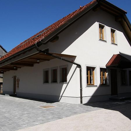 Apartments Vrdjan Cerknica Extérieur photo