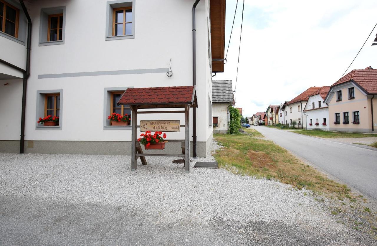 Apartments Vrdjan Cerknica Extérieur photo