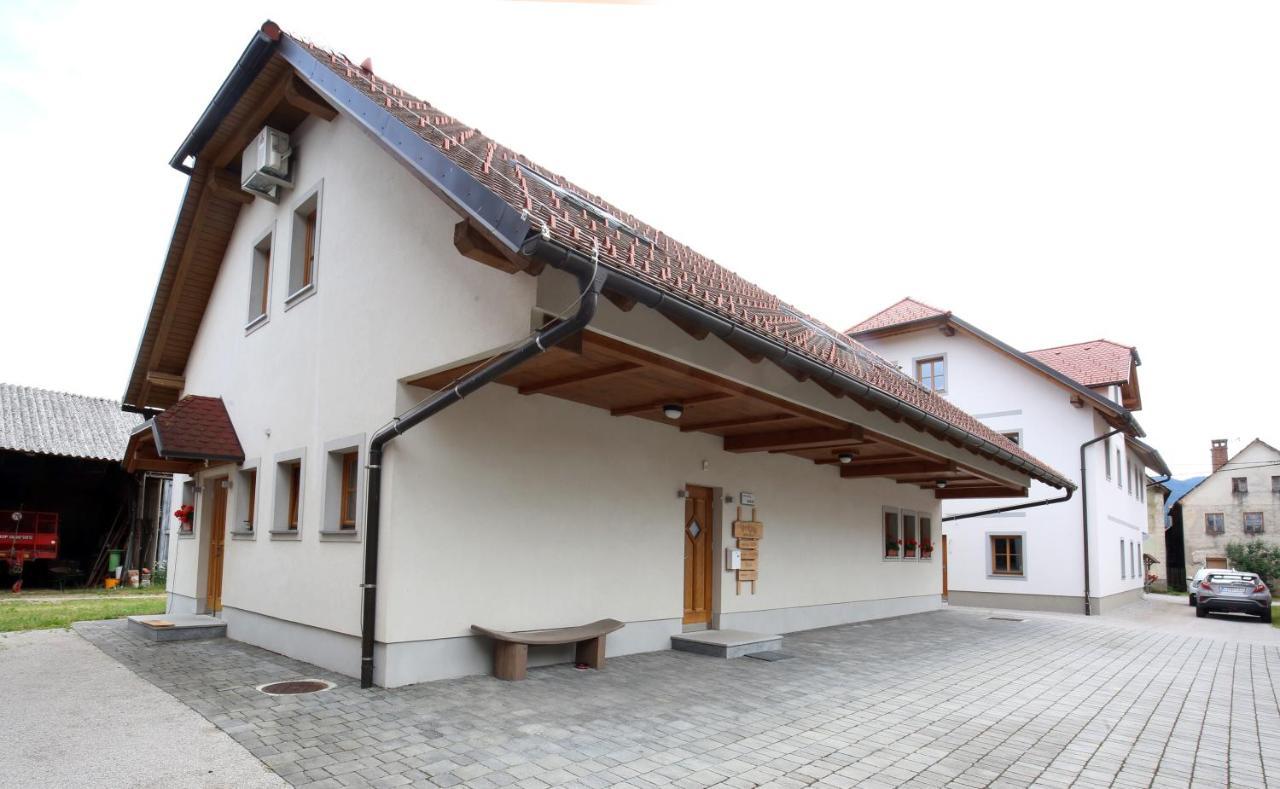 Apartments Vrdjan Cerknica Extérieur photo
