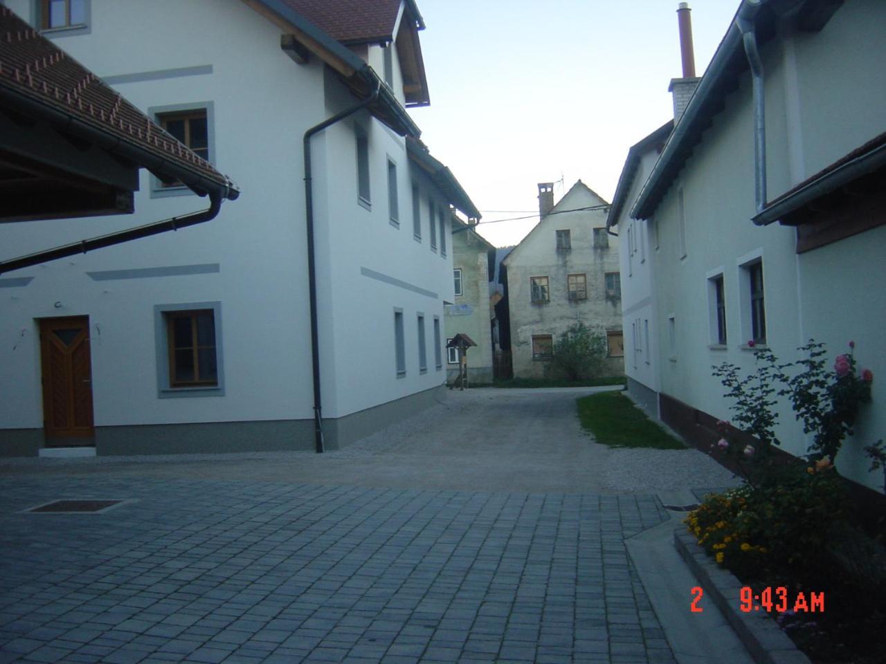 Apartments Vrdjan Cerknica Extérieur photo