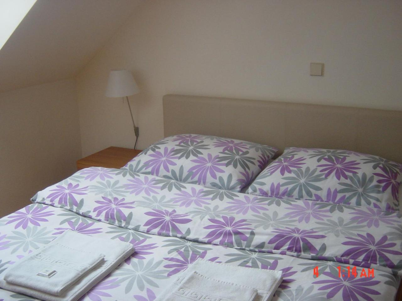 Apartments Vrdjan Cerknica Extérieur photo